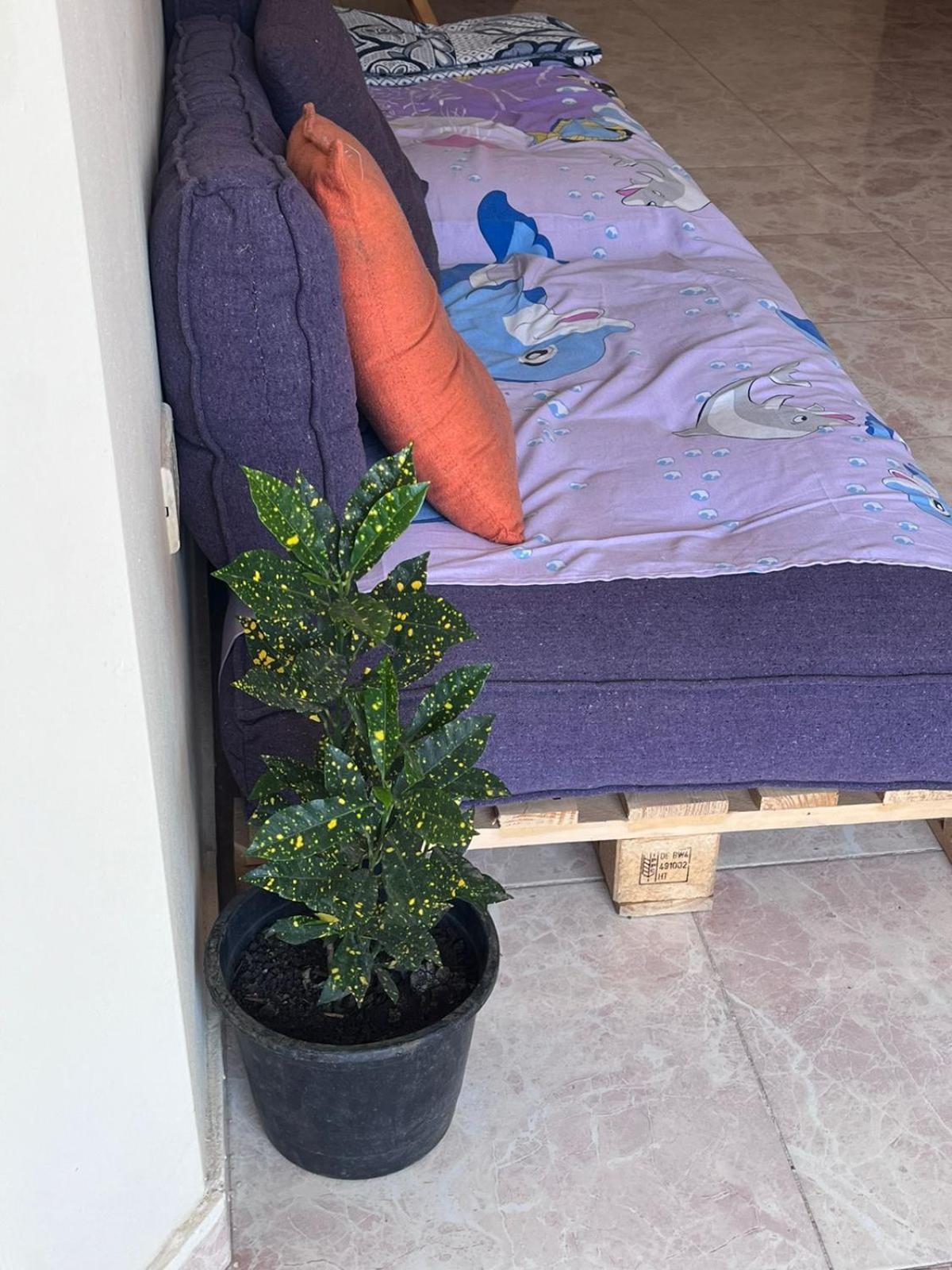 Bed In Raheem Guest House More Than Accommodation Le Caire Extérieur photo